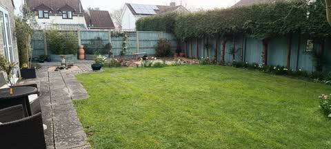 The same garden before work, with an older paved path beside the lawn
